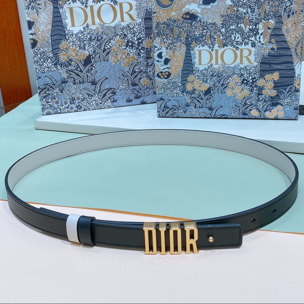 Dior 2026 D-Fence Reversible Belt 20mm Calfskin