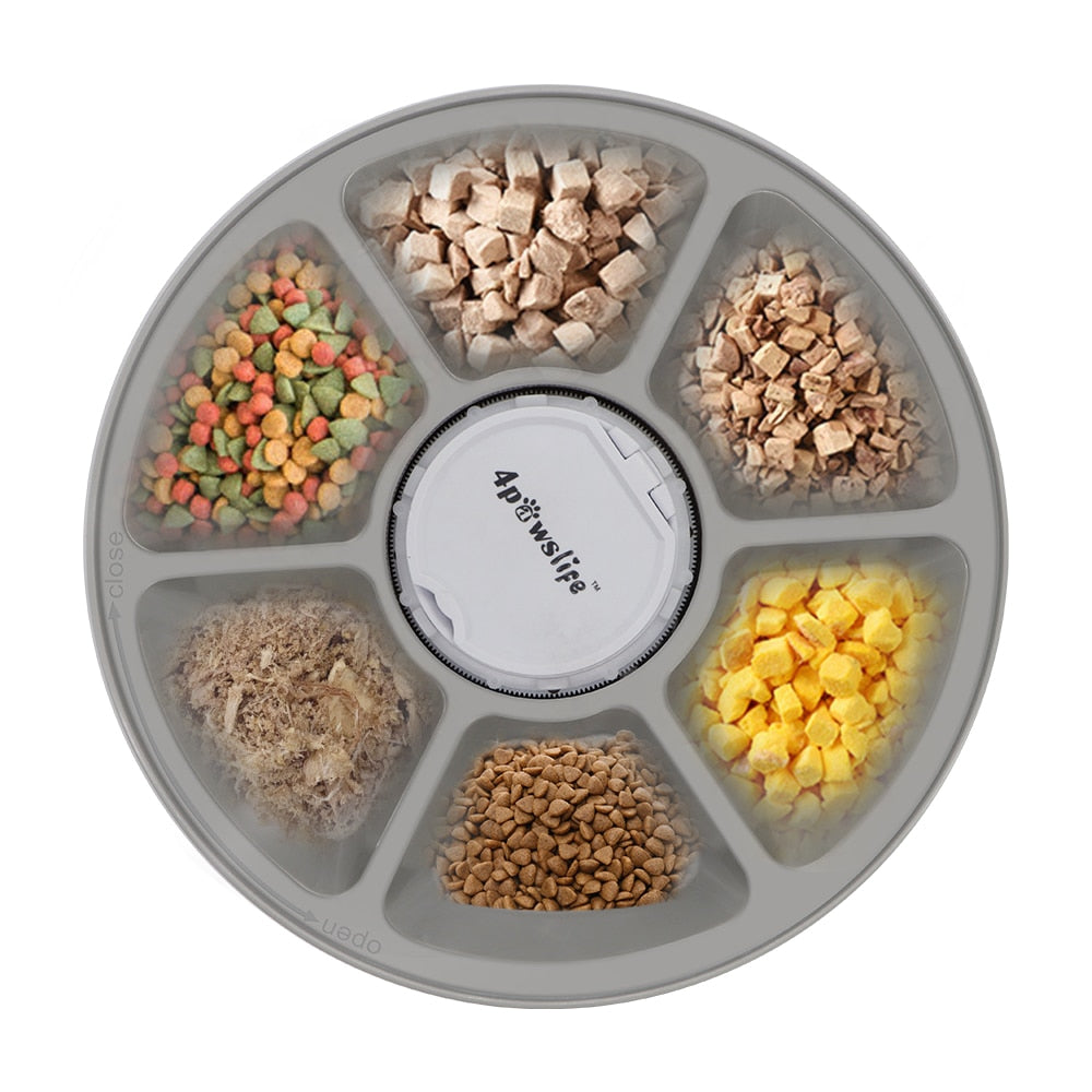 Distributeur automatique avec chronométrage 6 compartiments de nourriture