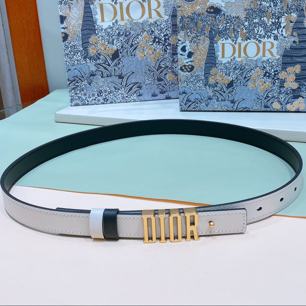 Dior 2026 D-Fence Reversible Belt 20mm Calfskin