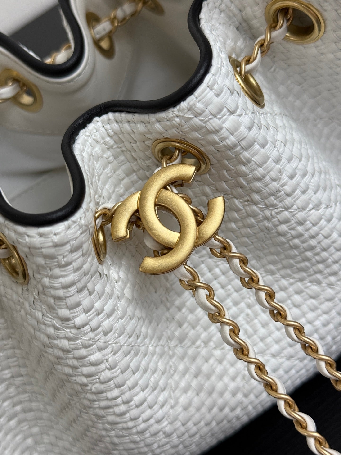 Chanel 2026 Hobo Bag 22cm White Black Woven Leather