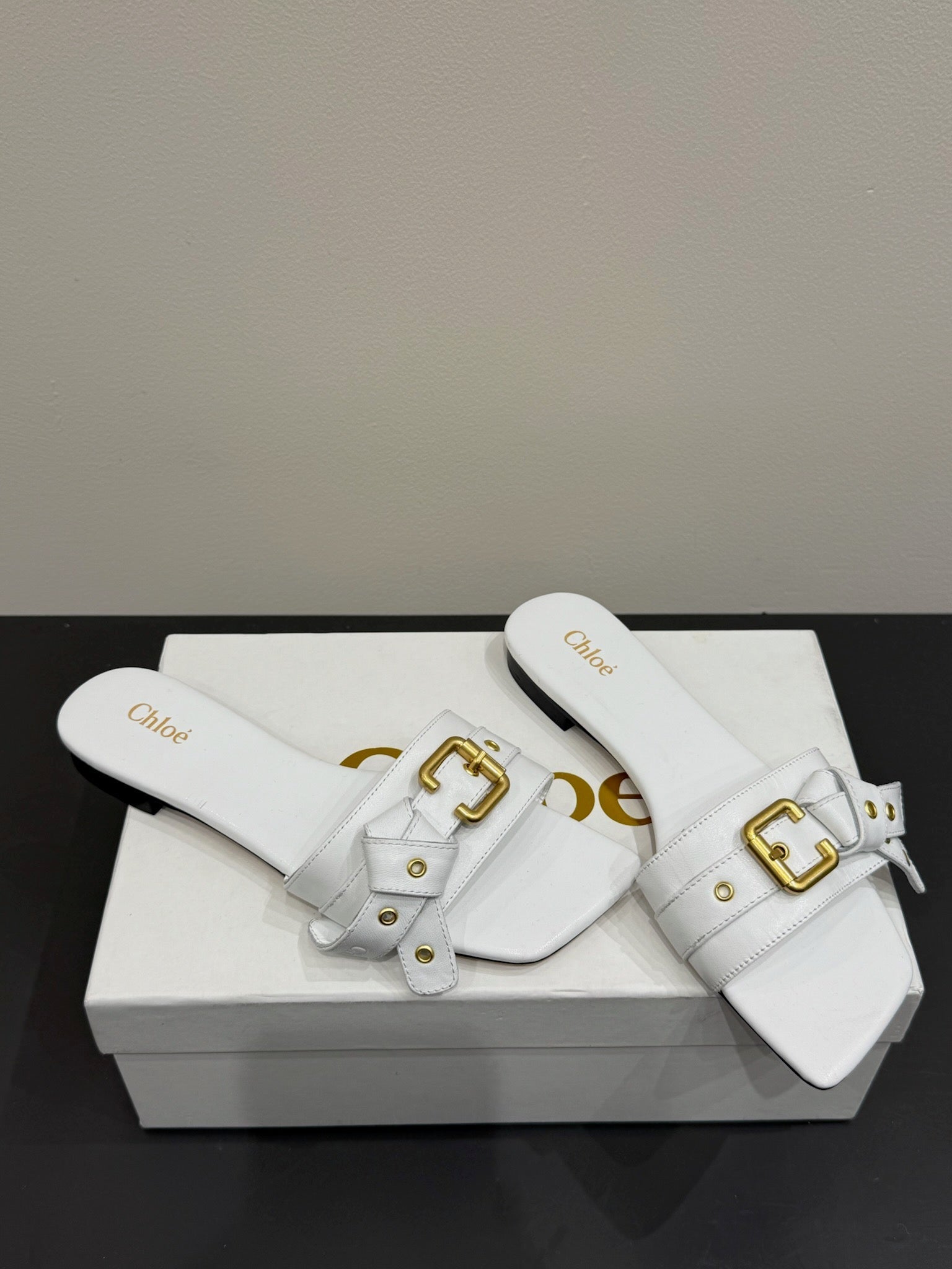 Loewe 25 Bow Metal Buckle Slide White Cowhide