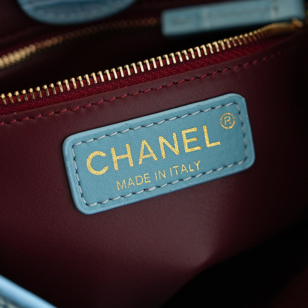 Chanel 2026 Shoulder Bag Crocodile Embossed Leather 167164