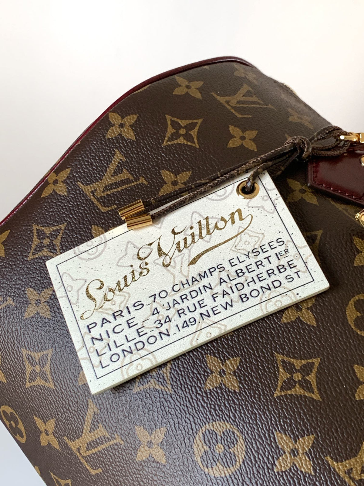 LV 2026 Speedy Soft Bag 30cm Brown Burgundy Canvas Cowhide 281457