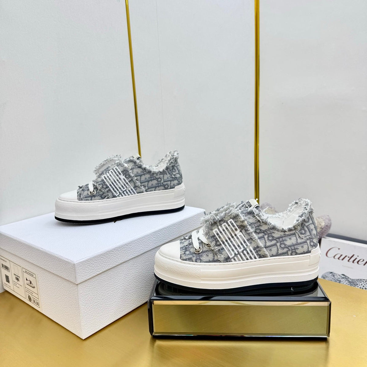 Dior 2026 Sneaker 50mm Canvas 927468