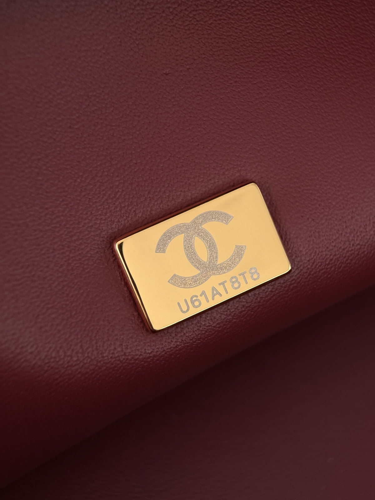 Chanel 2026 Clutch With Strap 27cm Ponyhair And Lambskin